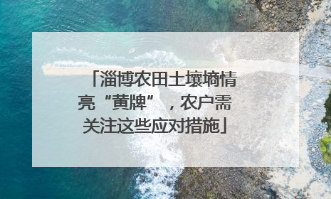 淄博农田土壤墒情亮“黄牌”，农户需关注这些应对措施