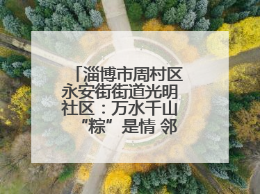 淄博市周村区永安街街道光明社区：万水千山“粽”是情 邻里欢聚迎端午