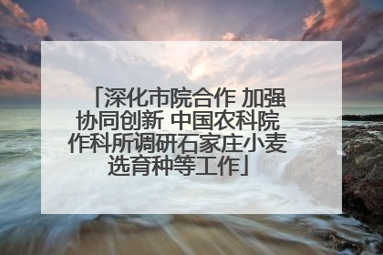 深化市院合作 加强协同创新 中国农科院作科所调研石家庄小麦选育种等工作