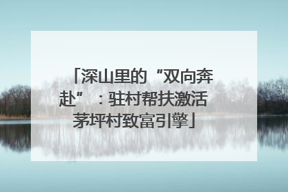深山里的“双向奔赴”：驻村帮扶激活茅坪村致富引擎