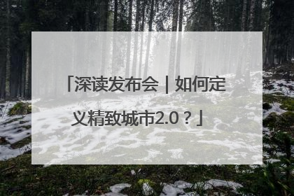 深读发布会｜如何定义精致城市2.0？