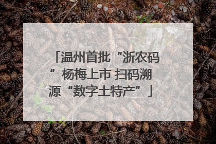 温州首批“浙农码”杨梅上市 扫码溯源“数字土特产”
