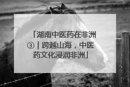 湖南中医药在非洲③｜跨越山海，中医药文化浸润非洲