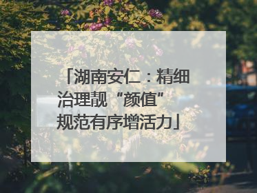 湖南安仁：精细治理靓“颜值” 规范有序增活力