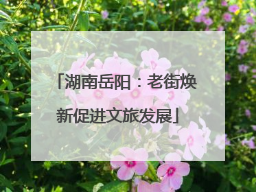 湖南岳阳：老街焕新促进文旅发展