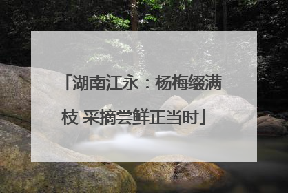 湖南江永：杨梅缀满枝 采摘尝鲜正当时