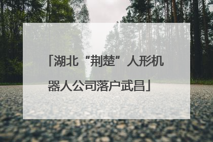 湖北“荆楚”人形机器人公司落户武昌
