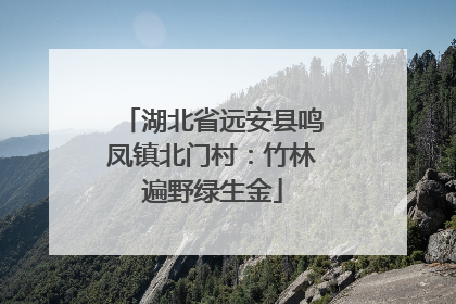 湖北省远安县鸣凤镇北门村：竹林遍野绿生金