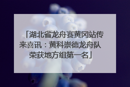 湖北省龙舟赛黄冈站传来喜讯：黄科崇德龙舟队荣获地方组第一名