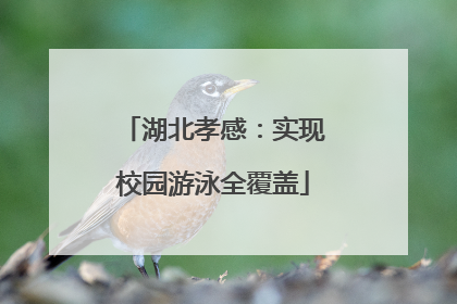 湖北孝感：实现校园游泳全覆盖