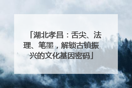 湖北孝昌：舌尖、法理、笔墨，解锁古镇振兴的文化基因密码