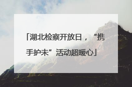 湖北检察开放日，“携手护未”活动超暖心