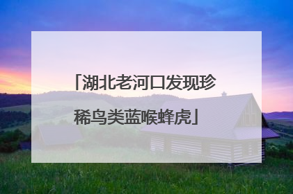 湖北老河口发现珍稀鸟类蓝喉蜂虎