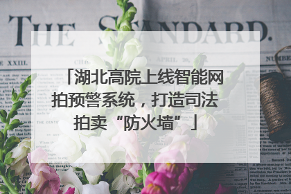 湖北高院上线智能网拍预警系统，打造司法拍卖“防火墙”