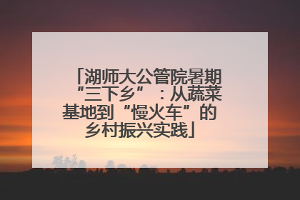 湖师大公管院暑期“三下乡”：从蔬菜基地到“慢火车”的乡村振兴实践
