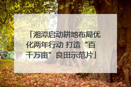 湘潭启动耕地布局优化两年行动 打造“百千万亩”良田示范片