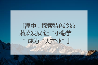 湟中：探索特色冷凉蔬菜发展 让“小菊芋”成为“大产业”