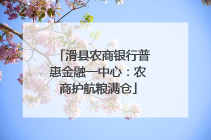 滑县农商银行普惠金融一中心：农商护航粮满仓