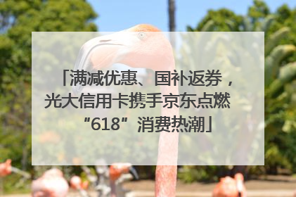 满减优惠、国补返券，光大信用卡携手京东点燃“618”消费热潮