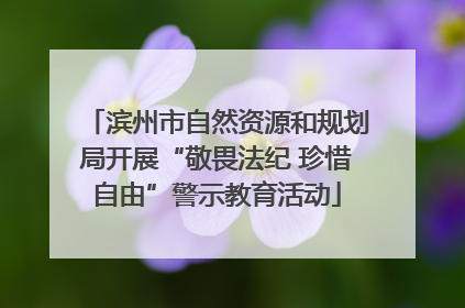 滨州市自然资源和规划局开展“敬畏法纪 珍惜自由”警示教育活动