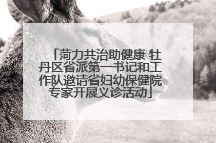 菏力共治助健康 牡丹区省派第一书记和工作队邀请省妇幼保健院专家开展义诊活动