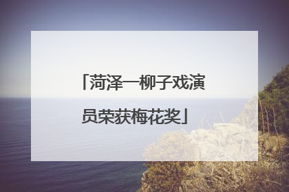 菏泽一柳子戏演员荣获梅花奖