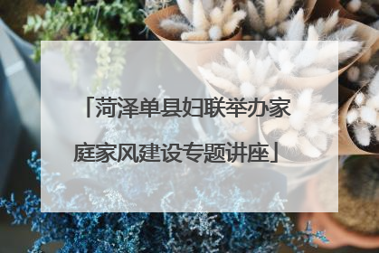 菏泽单县妇联举办家庭家风建设专题讲座
