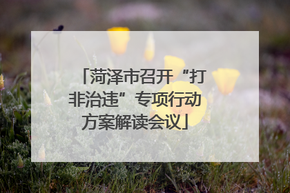 菏泽市召开“打非治违”专项行动方案解读会议