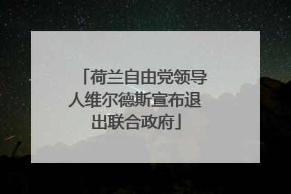 荷兰自由党领导人维尔德斯宣布退出联合政府