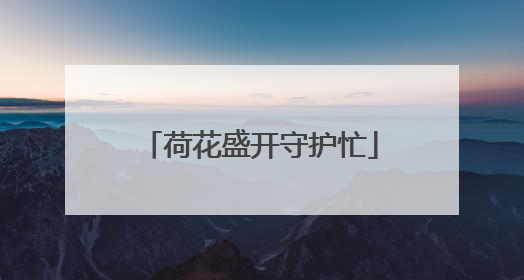 荷花盛开守护忙