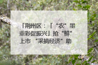 荆州区：「“农”墨重彩促振兴」抢“鲜”上市 “采摘经济”助农“甜蜜增收”