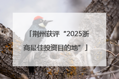 荆州获评“2025浙商最佳投资目的地”