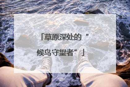 草原深处的“候鸟守望者”