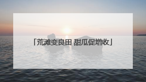 荒滩变良田 甜瓜促增收