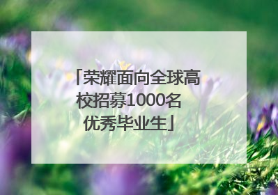 荣耀面向全球高校招募1000名优秀毕业生