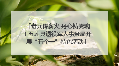 老兵传薪火 丹心铸党魂！五莲县退役军人事务局开展“五个一”特色活动