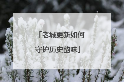 老城更新如何守护历史韵味