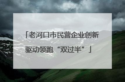 老河口市民营企业创新驱动领跑“双过半”