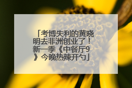 考博失利的黄晓明去非洲创业了！新一季《中餐厅9》今晚热辣开勺