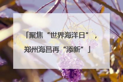 聚焦“世界海洋日”，郑州海昌再“添新”