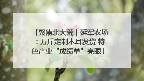 聚焦北大荒｜延军农场：万斤定制木耳发货 特色产业“成绩单”亮眼