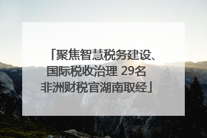 聚焦智慧税务建设、国际税收治理 29名非洲财税官湖南取经
