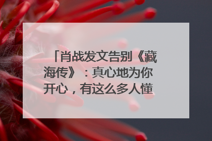 肖战发文告别《藏海传》：真心地为你开心，有这么多人懂你，导演回应“是否有第二季”
