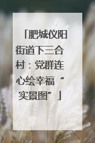肥城仪阳街道下三合村：党群连心绘幸福“实景图”