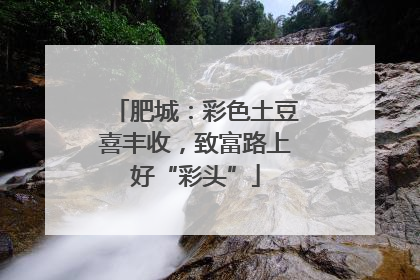 肥城：彩色土豆喜丰收，致富路上好“彩头”