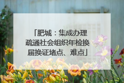 肥城：集成办理 疏通社会组织年检换届换证堵点、难点