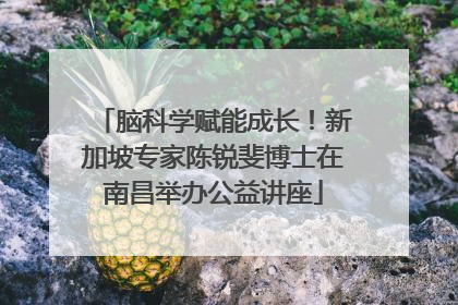 脑科学赋能成长！新加坡专家陈锐斐博士在南昌举办公益讲座
