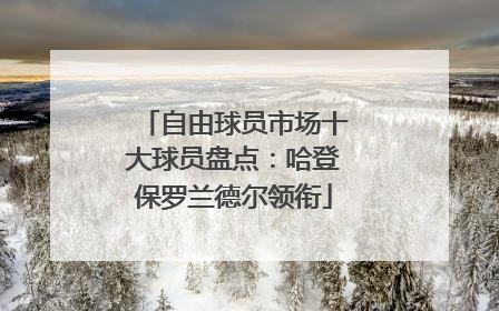 自由球员市场十大球员盘点：哈登保罗兰德尔领衔