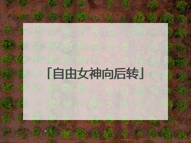 自由女神向后转
