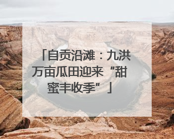 自贡沿滩：九洪万亩瓜田迎来“甜蜜丰收季”